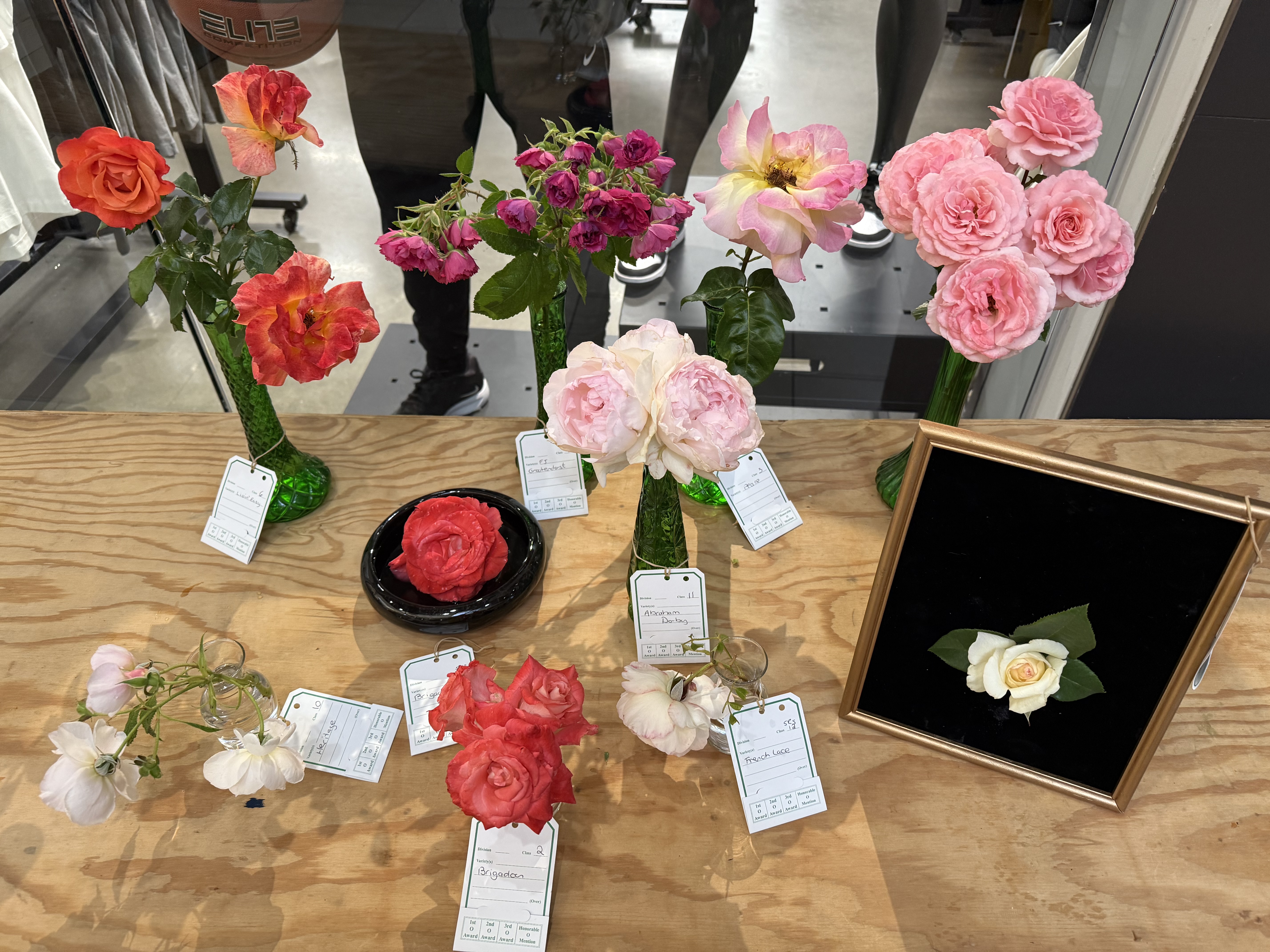 Rose Show 2025 display table